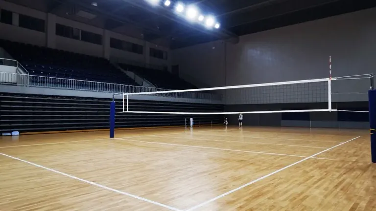 Illustration for: Texas volleyball team faces Georgia in Austin gymnasium